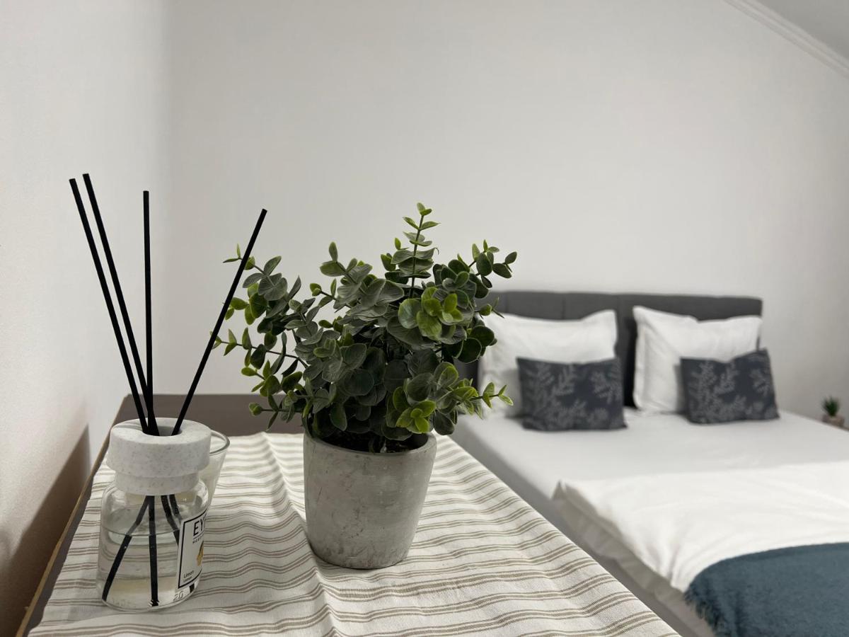 Green Holidays Κλουζ-Ναπόκα Εξωτερικό φωτογραφία